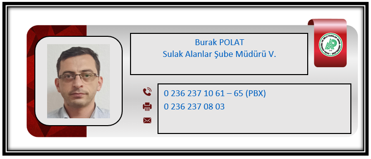 Burak Polat.PNG