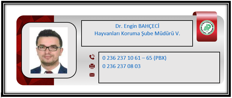 DR Engin Bahçeci.PNG