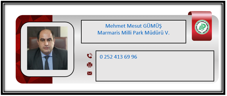 M. Mesut GÜMÜŞ.PNG