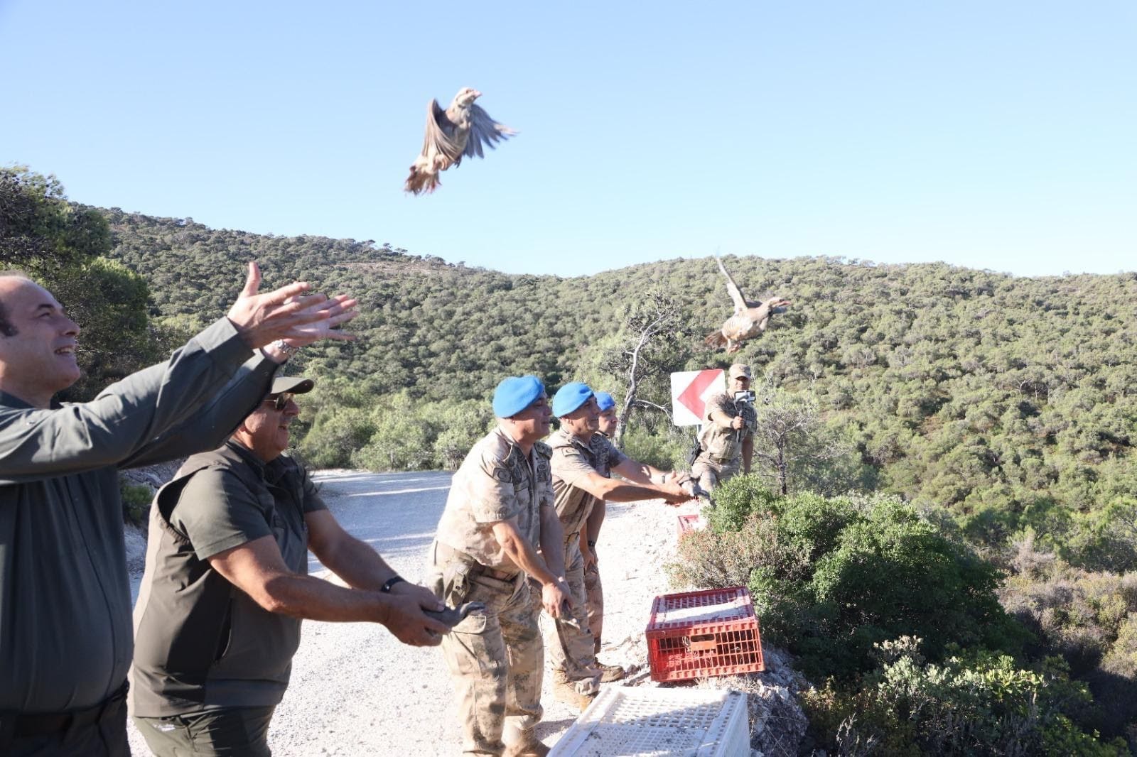 keklik foça (3).jpeg