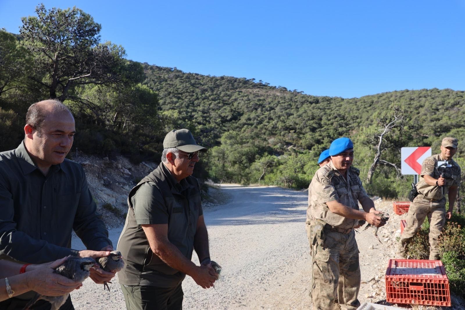 keklik foça (4).jpeg