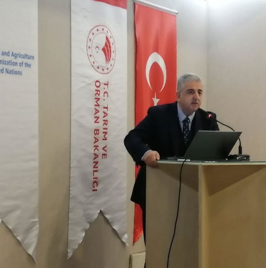 çalıştaydd (2).JPG