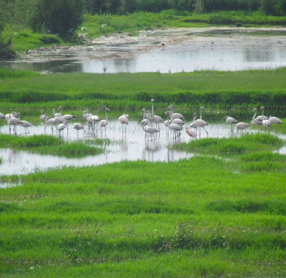 çalıştaydd (4).JPG