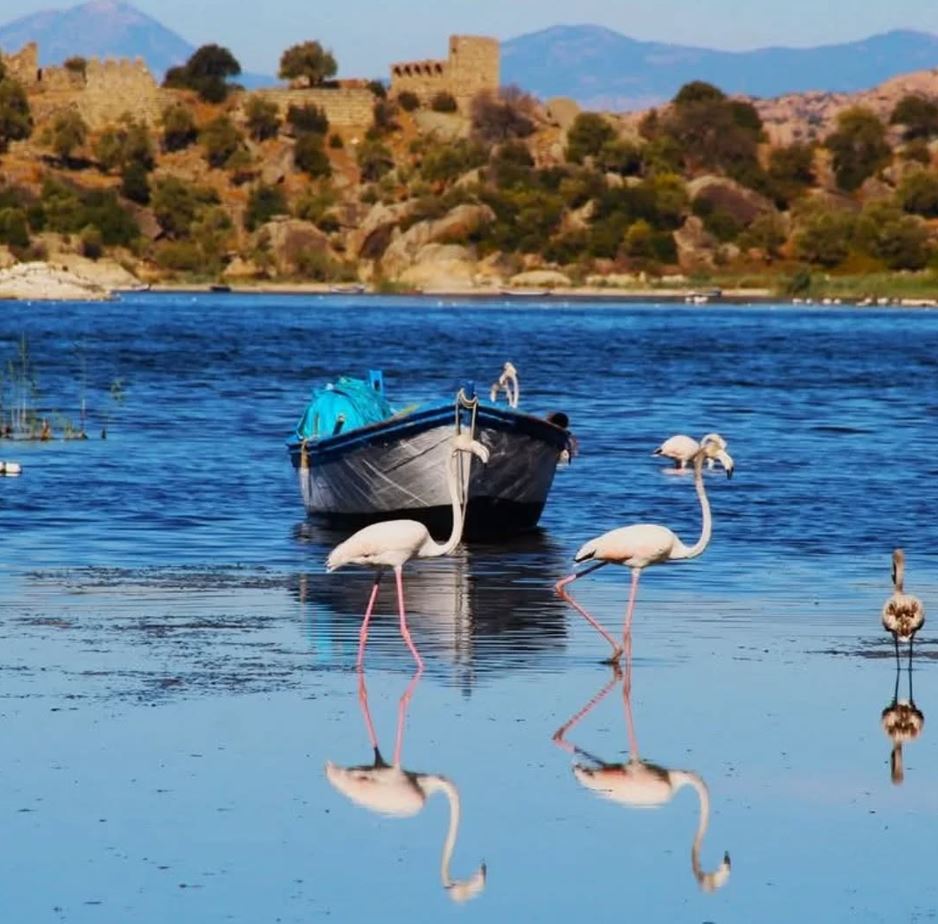 çalıştaydd (5).JPG