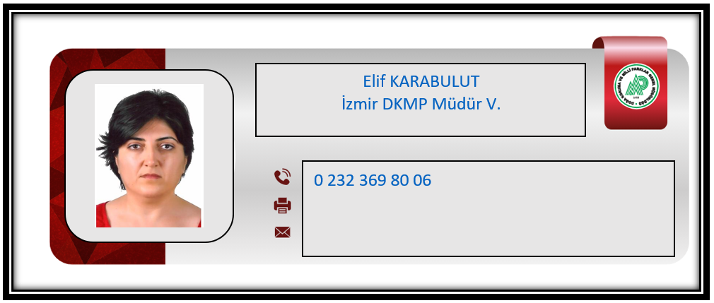 Elif Karabulut.PNG