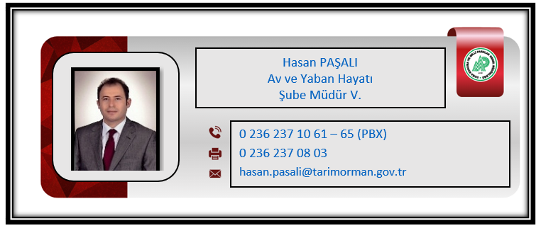 H paşa.PNG