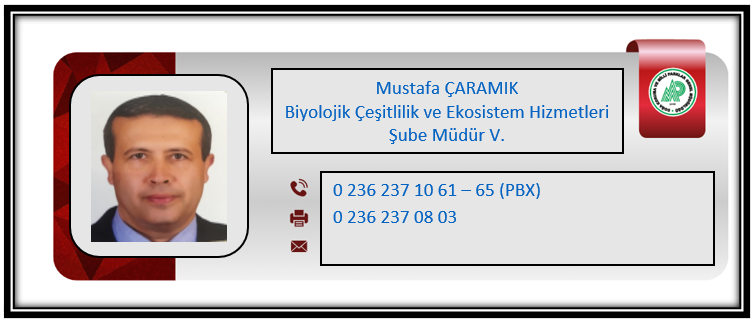 M Çaramık.PNG