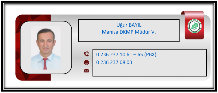 U Bayıl.PNG